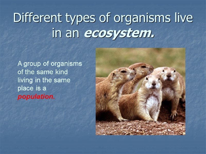 Different types of organisms live in an ecosystem.   A group of organisms